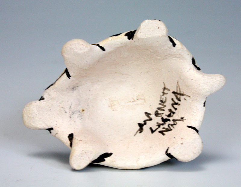 Laguna Pueblo Native American Indian Pottery Turtle - Adrian Arnett