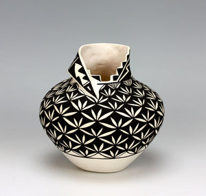 Acoma Pueblo Native American Indian Pottery Yucca Jar - Shana Garcia